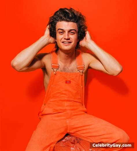 joe keery fake nudes|JOE KEERY Nude